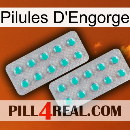 Engorge Pills 29